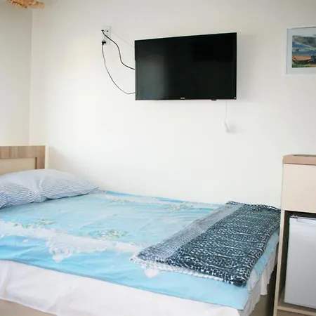 Arnina Władysławowo